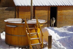 Vállalkozási ötletek falun: kutyaszauna:-)